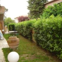 Monteroni D'Arbia