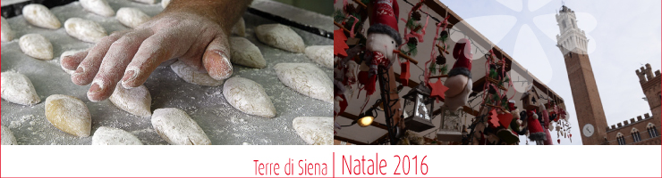 home page Banner NATALE 2016