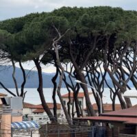 Follonica
